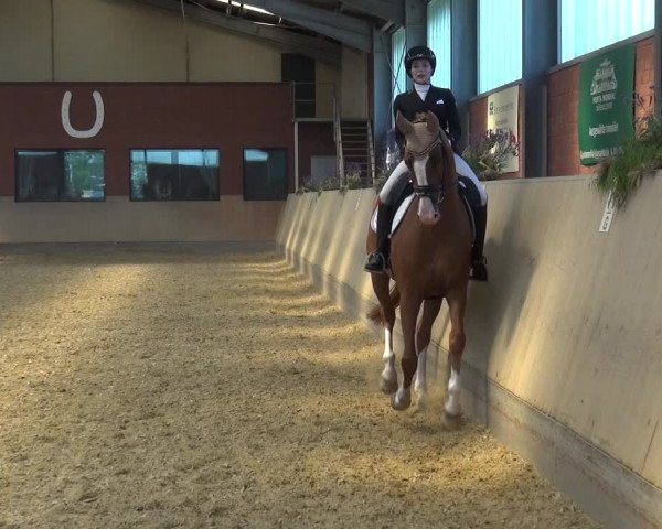 Reitturnier Neuss-Allerheiligen 2019