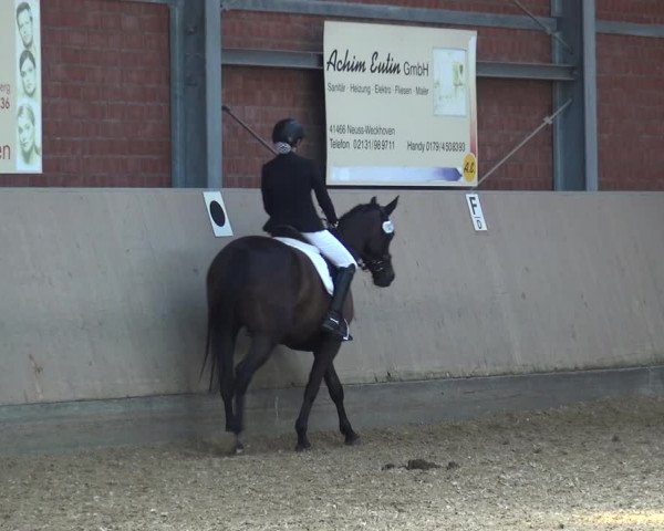 Reitturnier Neuss-Allerheiligen 2019