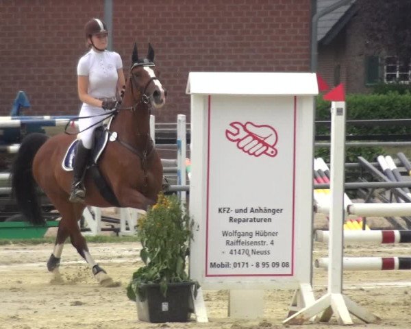Reitturnier Neuss-Allerheiligen 2019