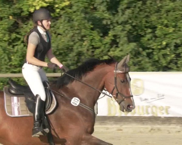 Reitturnier Leingarten 2021