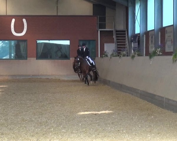 Reitturnier Neuss-Allerheiligen 2019