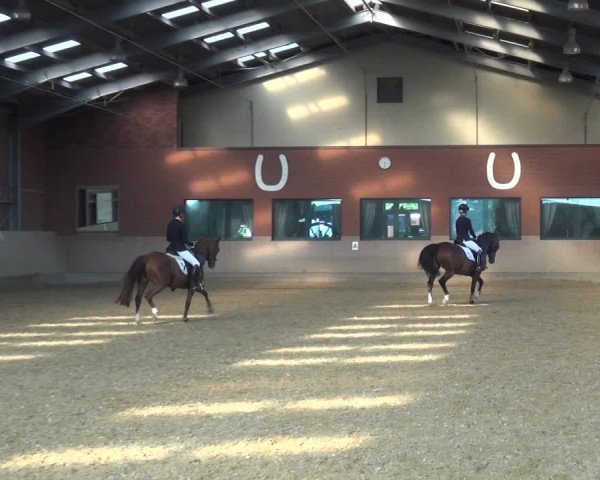 Reitturnier Neuss-Allerheiligen 2019