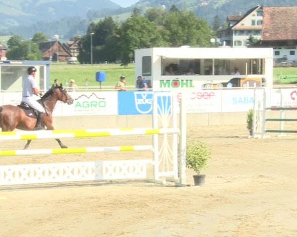 Reitturnier Schwyz 2019