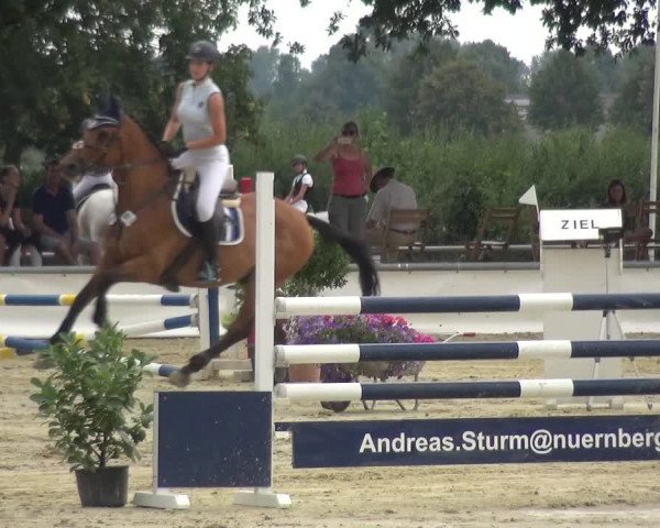 Reitturnier Neuss-Allerheiligen 2019