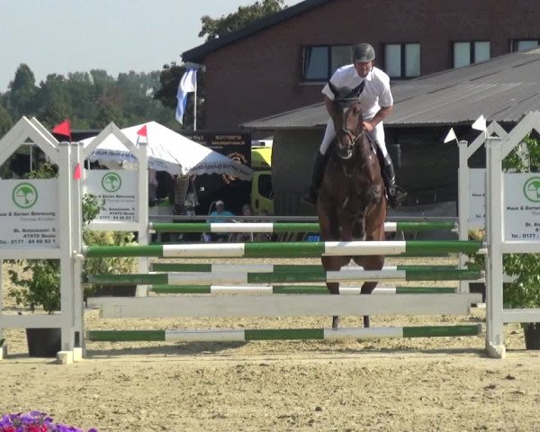 Reitturnier Neuss-Allerheiligen 2019