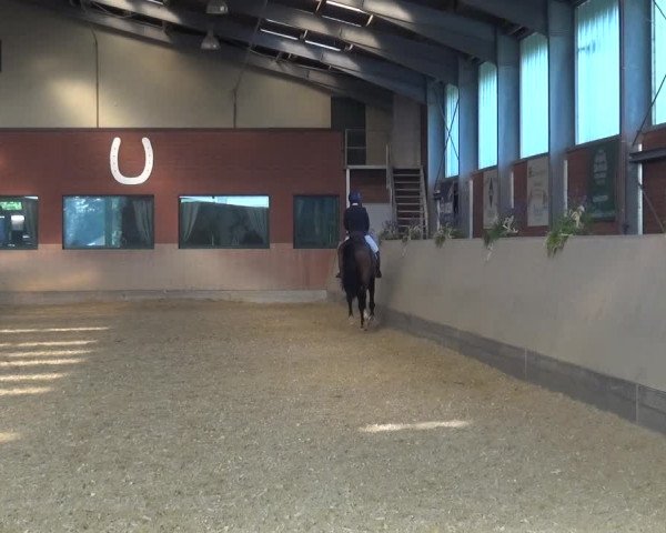 Reitturnier Neuss-Allerheiligen 2019