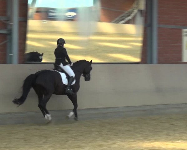 Reitturnier Neuss-Allerheiligen 2019