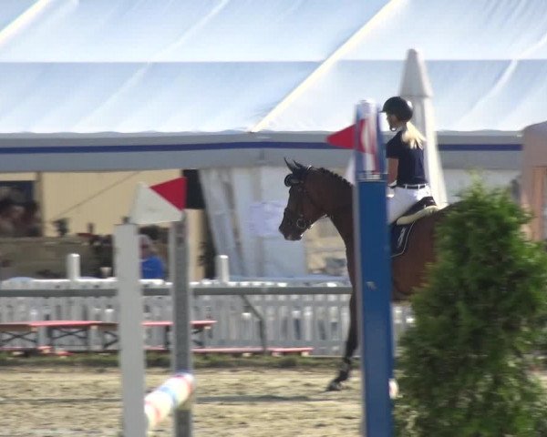 Reitturnier Neuss-Allerheiligen 2019