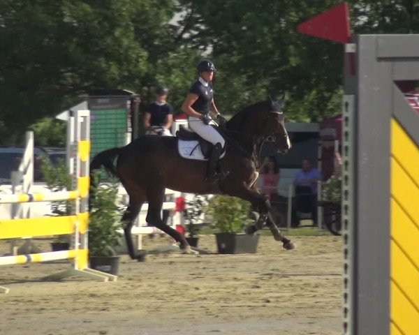 Reitturnier Neuss-Allerheiligen 2019