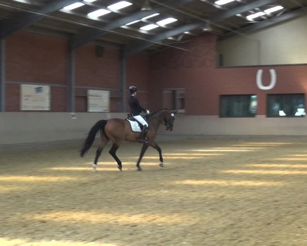 Reitturnier Neuss-Allerheiligen 2019