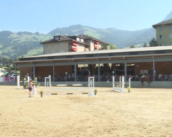 Reitturnier Schwyz 2019