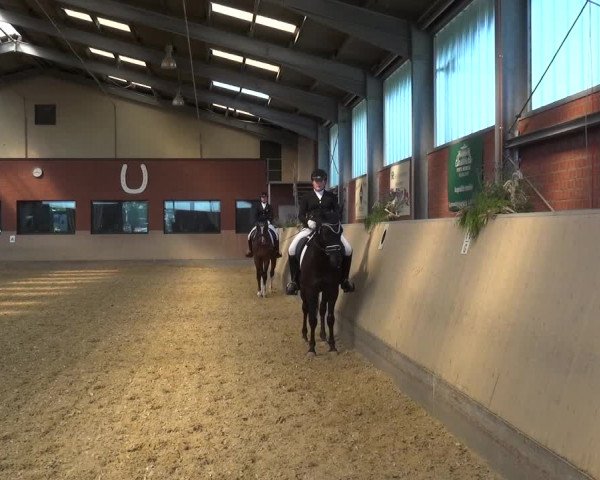 Reitturnier Neuss-Allerheiligen 2019
