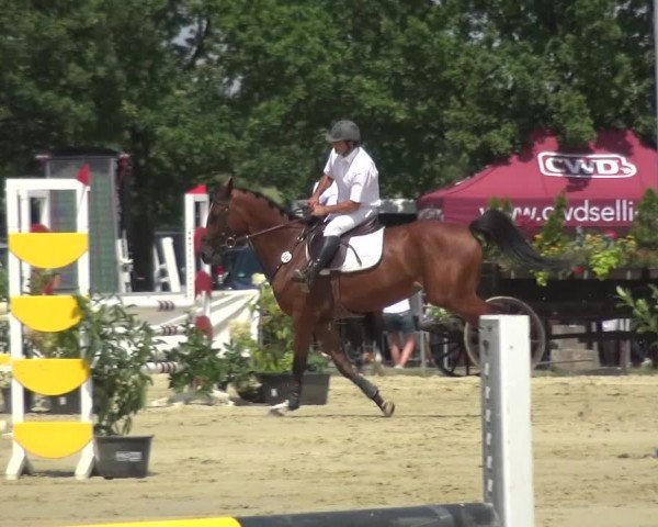 Reitturnier Neuss-Allerheiligen 2019