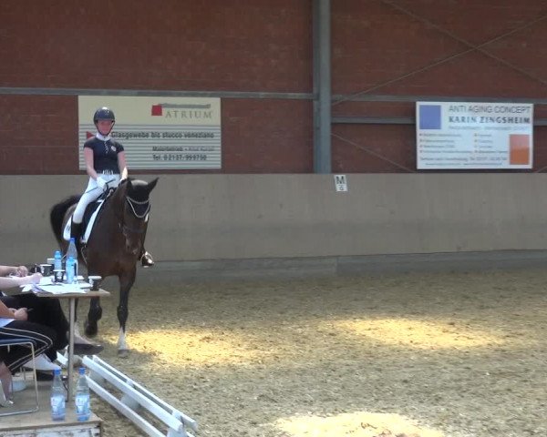 Reitturnier Neuss-Allerheiligen 2019