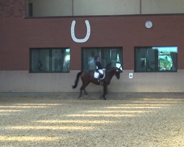Reitturnier Neuss-Allerheiligen 2019