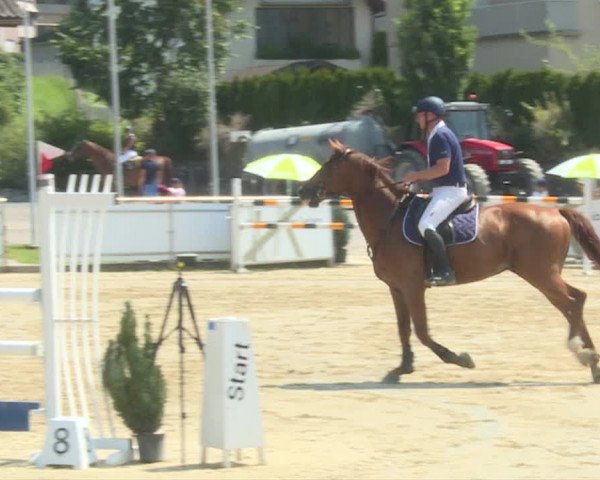 Reitturnier Schwyz 2019
