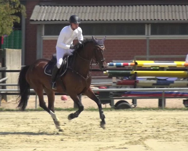 Reitturnier Neuss-Allerheiligen 2019
