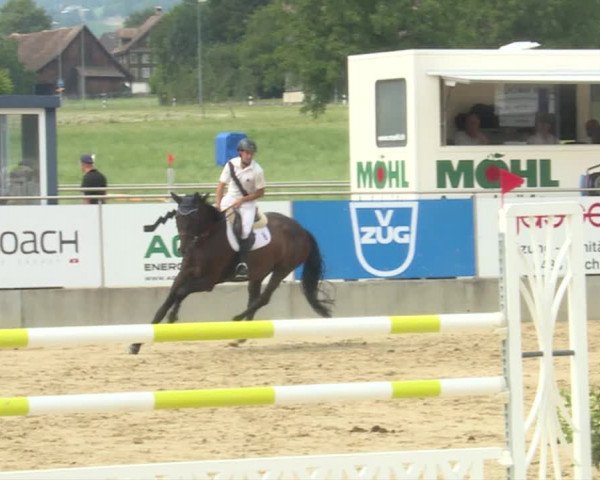 Reitturnier Schwyz 2019