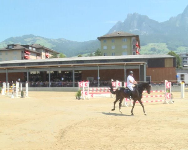 Reitturnier Schwyz 2019