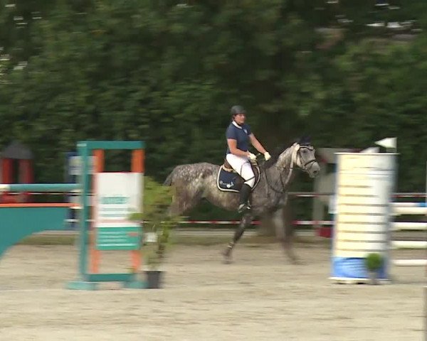 Reitturnier Rot am See- Musdorf 2019