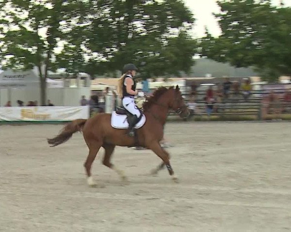 Reitturnier Rot am See- Musdorf 2019