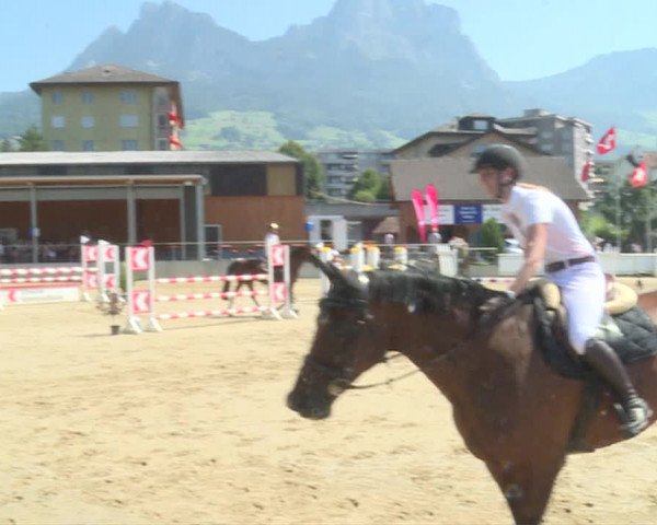 Reitturnier Schwyz 2019