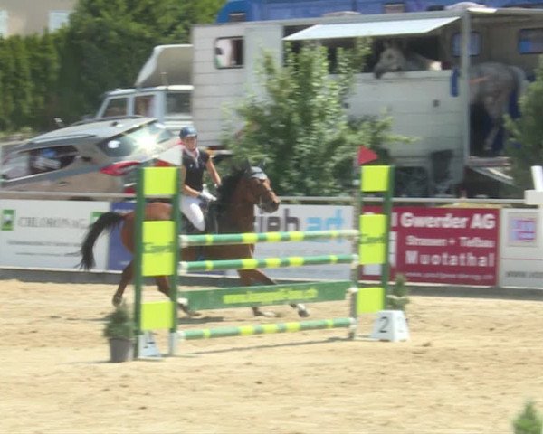 Reitturnier Schwyz 2019