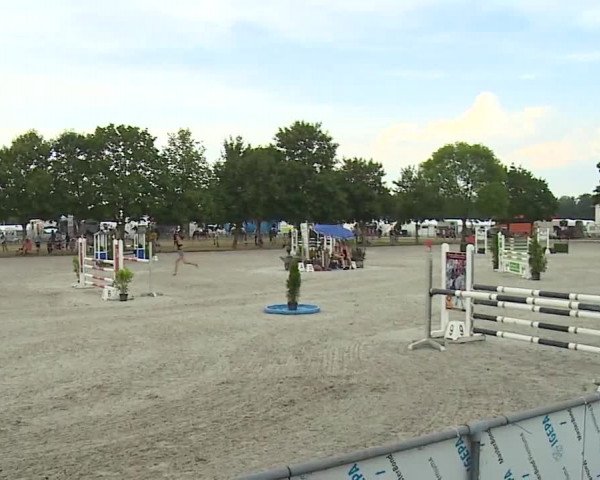 Reitturnier Rot am See- Musdorf 2019