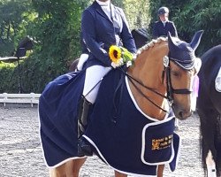 dressage horse Sunny Day 23 (unknown, 2004)