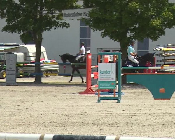 Reitturnier Rot am See- Musdorf 2019