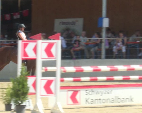 Reitturnier Schwyz 2019
