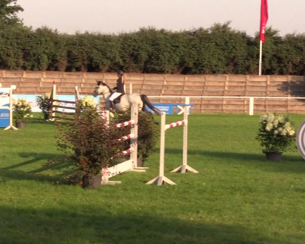 Reitturnier Baschütz bei Bautzen 2019