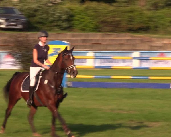 Reitturnier Baschütz bei Bautzen 2019