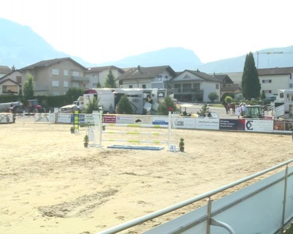 Reitturnier Schwyz 2019
