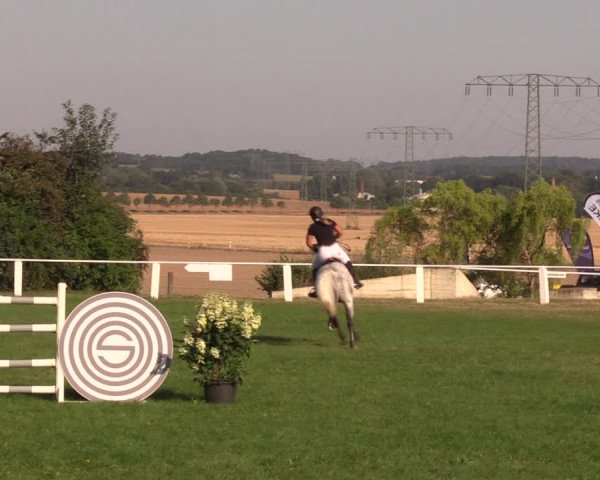 Reitturnier Baschütz bei Bautzen 2019