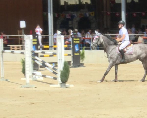 Reitturnier Schwyz 2019