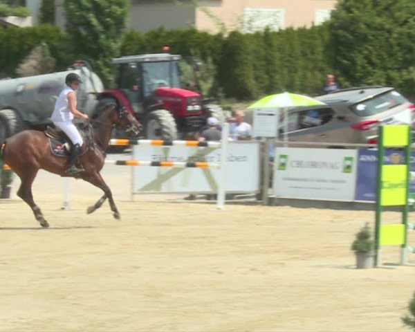 Reitturnier Schwyz 2019
