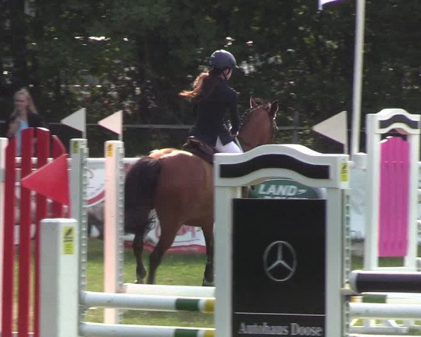 Reitturnier Felmerholz 2019