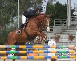 broodmare Quetsche du Gue (Selle Français, 2004, from Diamant de Semilly)