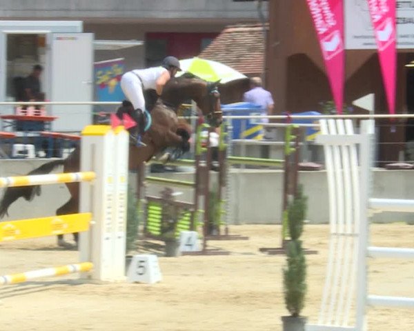 Reitturnier Schwyz 2019