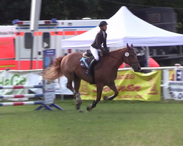 Reitturnier Felmerholz 2019
