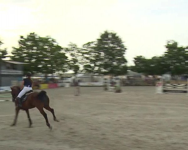 Reitturnier Rot am See- Musdorf 2019