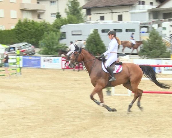 Reitturnier Schwyz 2019