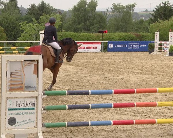 Reitturnier Püttlingen 2019