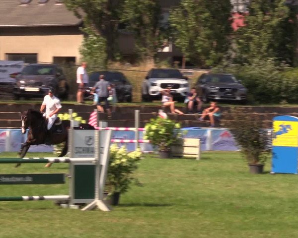 Reitturnier Baschütz bei Bautzen 2019