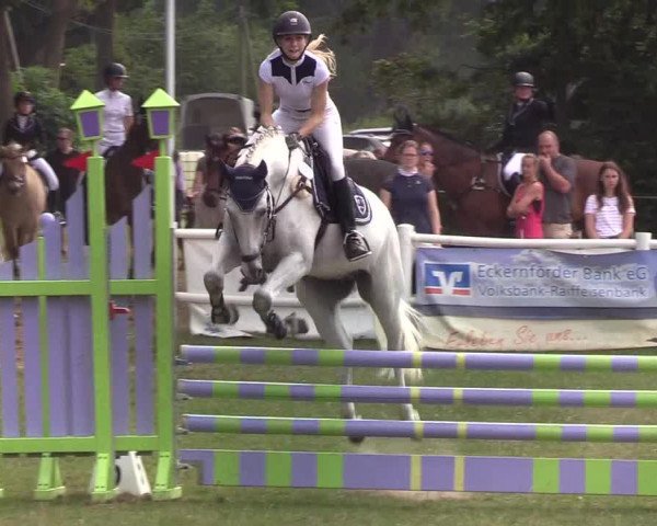 Reitturnier Felmerholz 2019