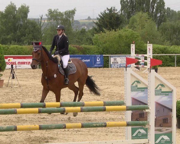 Reitturnier Püttlingen 2019