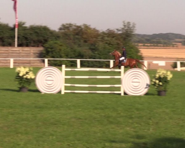 Reitturnier Baschütz bei Bautzen 2019