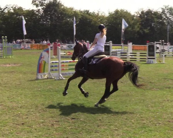 Reitturnier Felmerholz 2019
