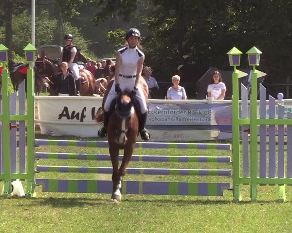 Reitturnier Felmerholz 2019